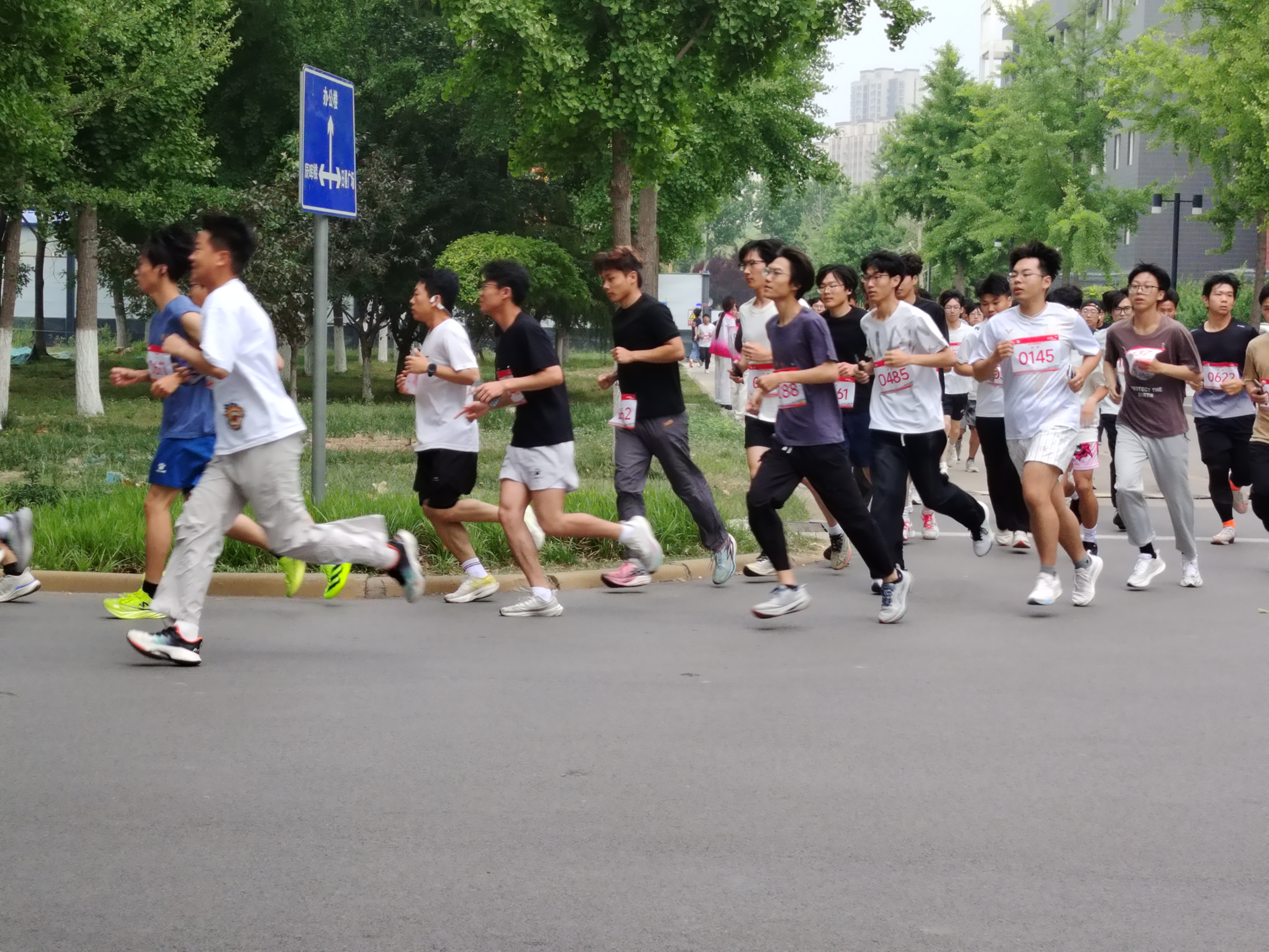 迷你.jpg
